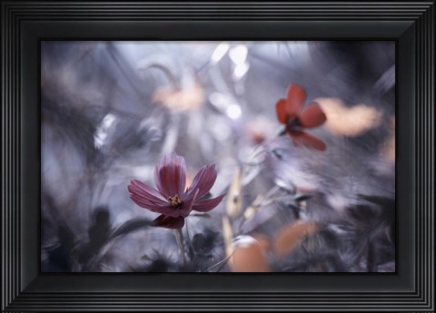 Framed Une Autre Fleur, Une Autre Histoire Print