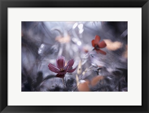 Framed Une Autre Fleur, Une Autre Histoire Print