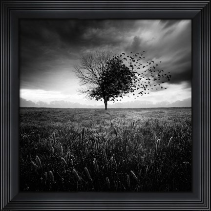 Framed Illusion D&#39;un Printemps Perdu Print