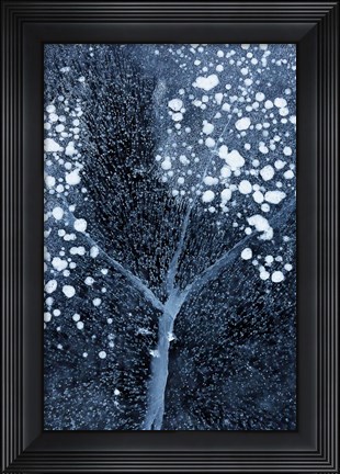 Framed Winter Blossom Print