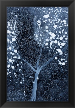 Framed Winter Blossom Print