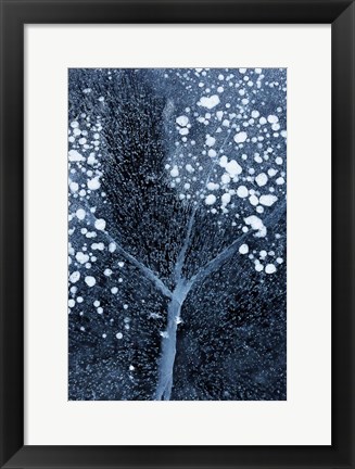 Framed Winter Blossom Print