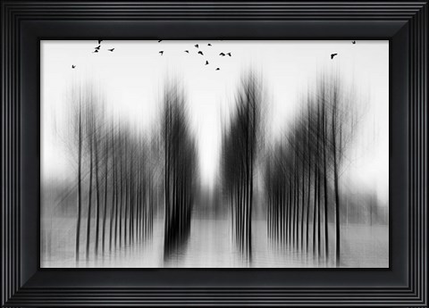 Framed Tree Architecture Print