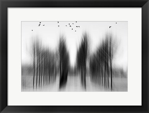 Framed Tree Architecture Print