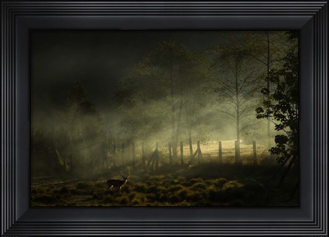 Framed Misty Morning Print