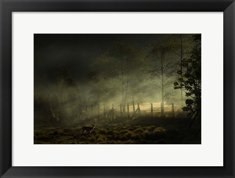 Framed Misty Morning Print