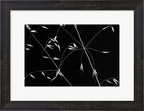 Framed Crossed Lines Print