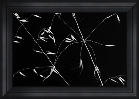 Framed Crossed Lines Print