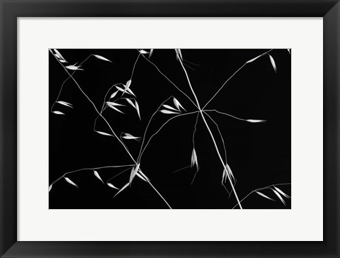 Framed Crossed Lines Print