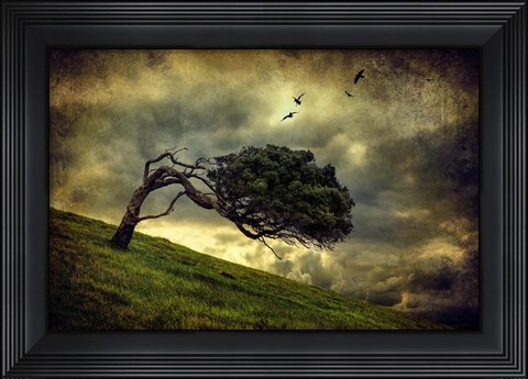 Framed Winds of Change Print
