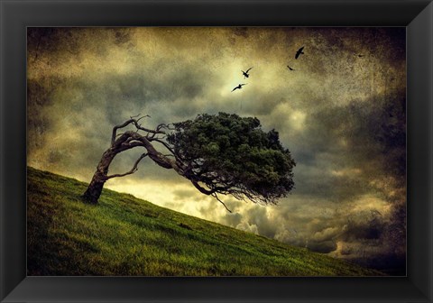Framed Winds of Change Print