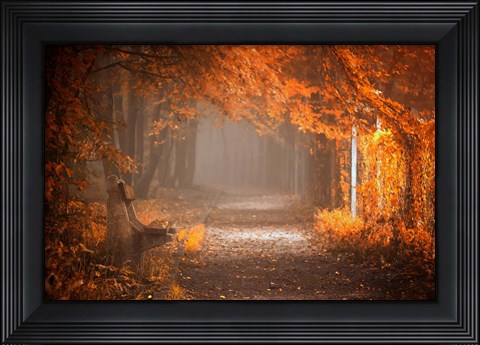 Framed Waiting To Fall Print