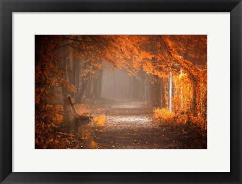 Framed Waiting To Fall Print