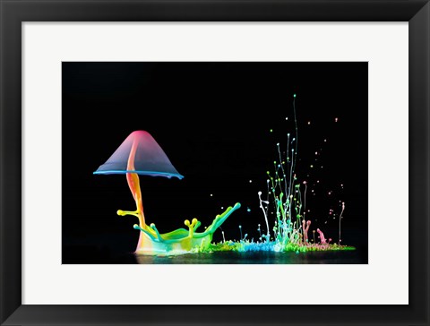 Framed Symphony of Colors Print