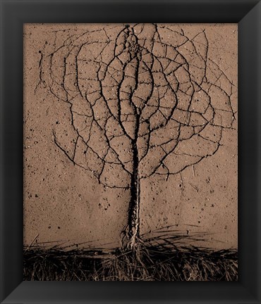 Framed Asphalt Tree Print