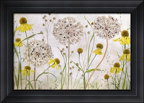Framed Alliums and Heleniums Print
