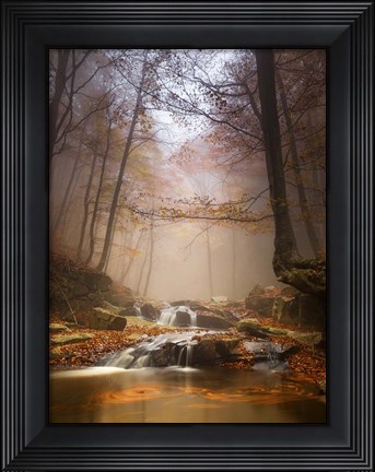 Framed Mistyc Mist Print