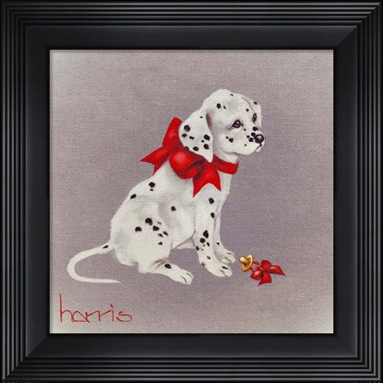 Framed Dalmation Pup Print