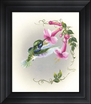 Framed Hummingbird With Trumpet Flowers 2 Print