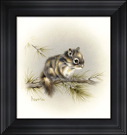 Framed Tattle-Tail Baby Print