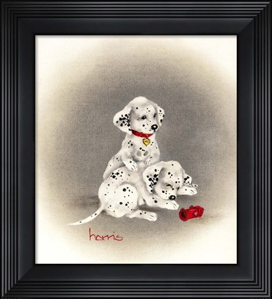 Framed Dalmation 2 - Curiosity Print