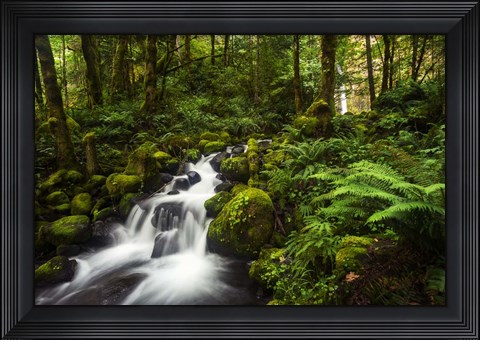 Framed Moment In Nature Print