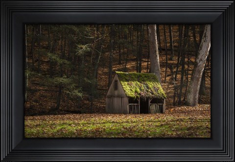 Framed Rustic Glow Print