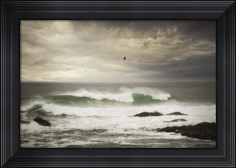 Framed Flight Print
