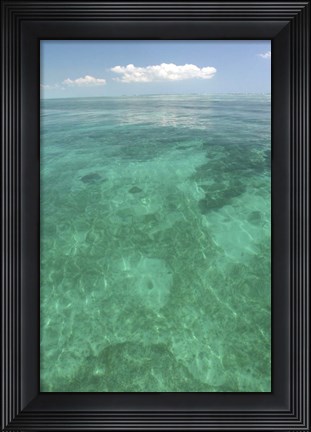 Framed Catrell Key Vertical Print