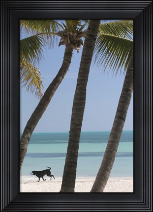 Framed Dog Beach Print