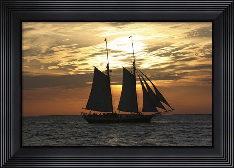 Framed Golden Liberty Print