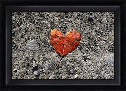Framed Heartleaf Print