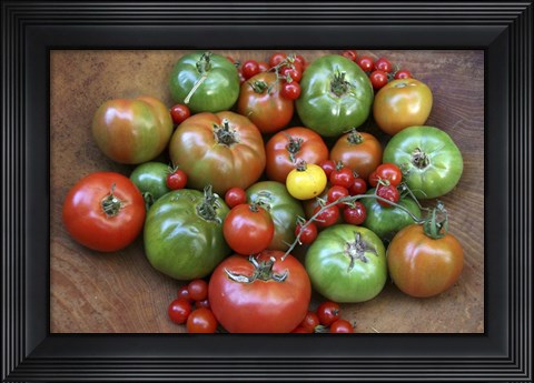 Framed Heirlooms 1 Print