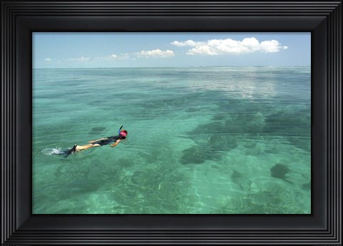Framed Snorkeler Print