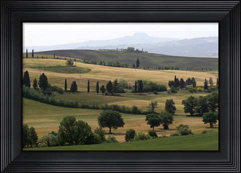 Framed Tuscan Hillside 1 Print