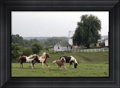 Framed Winesberg Ohio Print