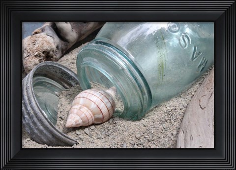 Framed One Shell Mason Jar Print