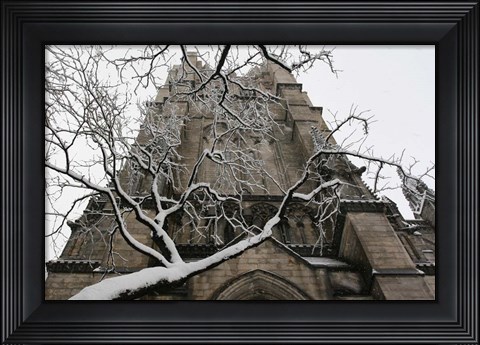 Framed Branch Snow Cathedral 9688 Print