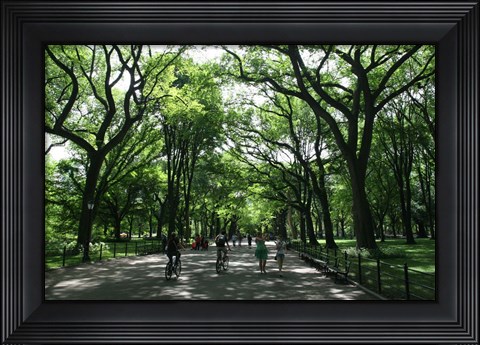 Framed Central Park Mall Summer Print