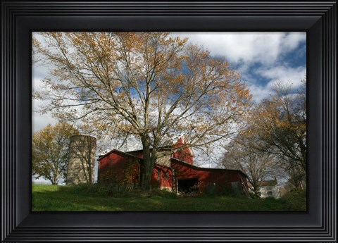 Framed Early Spring Tree Barn Print