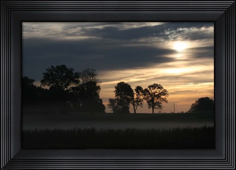 Framed Grey Dawn Wetland Print