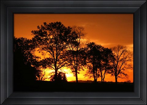 Framed Orange Sunrise Treeline Print