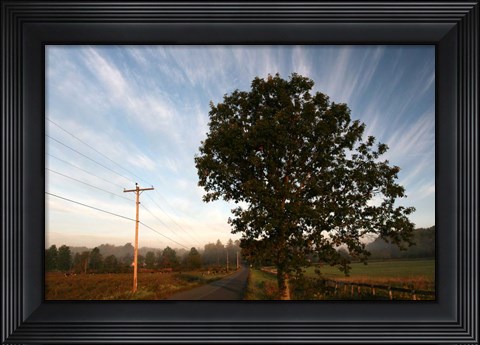 Framed Tree Pole Road Sky 3329 Print