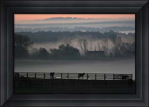 Framed Horse Farm Rose Dawn Print