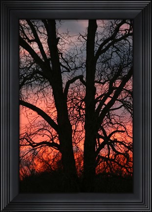 Framed November Sunset Vertical Print