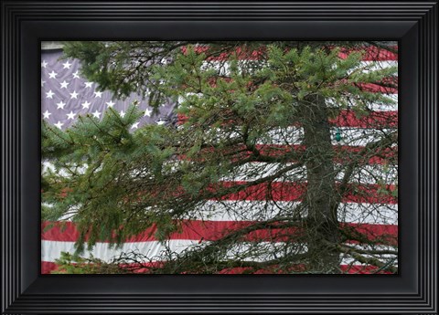 Framed Pine Flag Barn Print