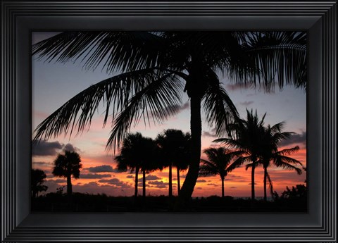 Framed Pre Dawn Tropical Trees Print