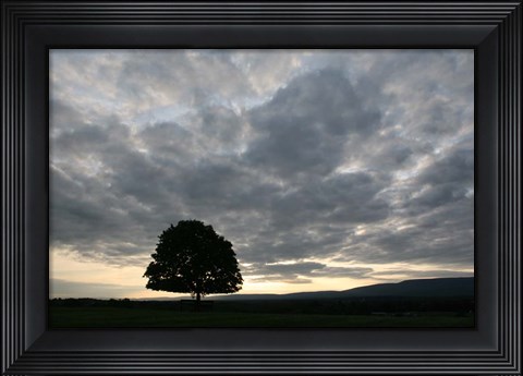 Framed Sunset Silhouette Tree Print