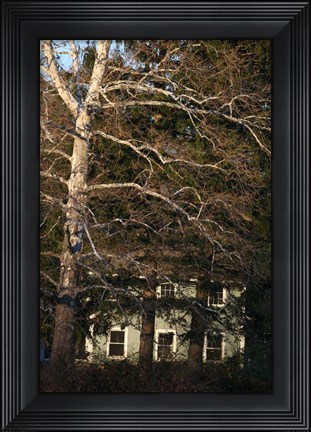 Framed Sycamore House Vertical Print