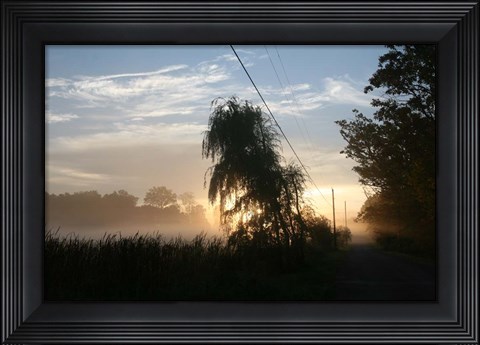 Framed Willows Morning Road Print